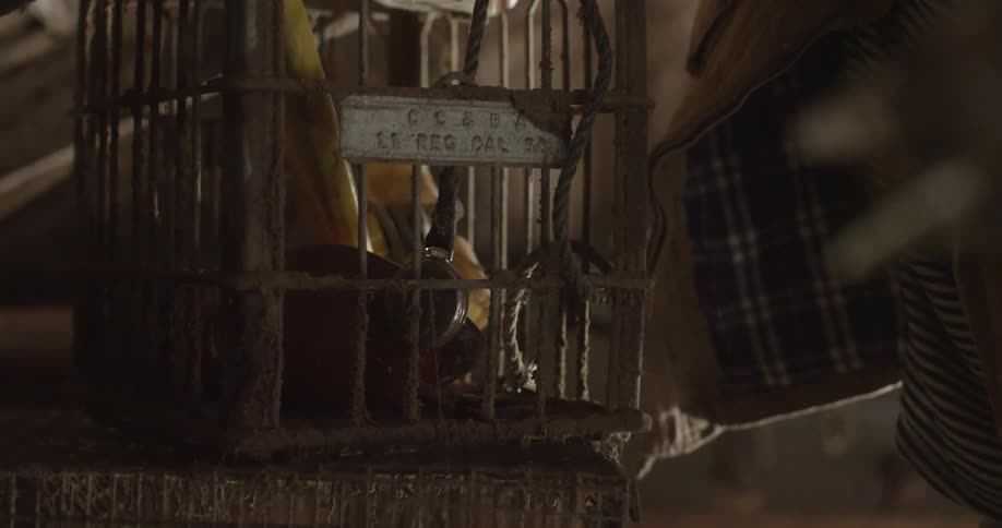 A boy grabbing something from a wire basket that is holding an assortment of items