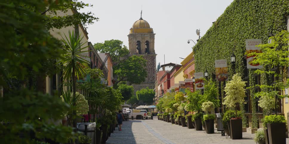 Street covered in greenery leading to a church (Parroquia Santiago Apostol)