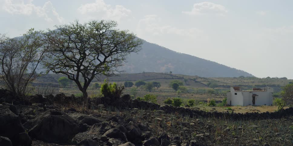 Trees and a building in the foreground, with mountains and hills behind them