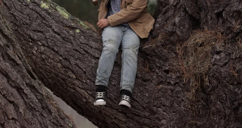 Persons sitting on a tree branch reaches in his jacket