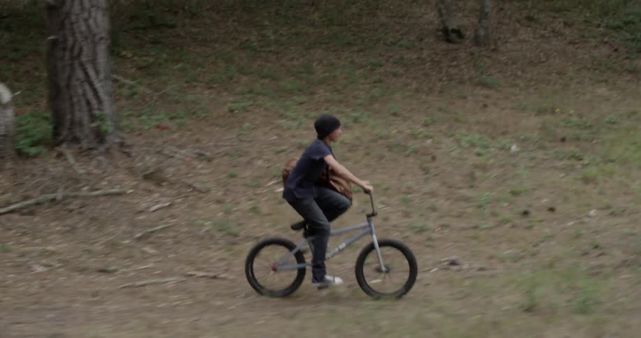 Boy rides a bmx bike through a field lined by trees