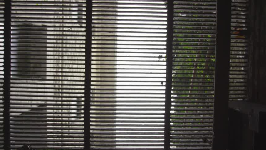 Window blinds cover a large window looking out into a yard