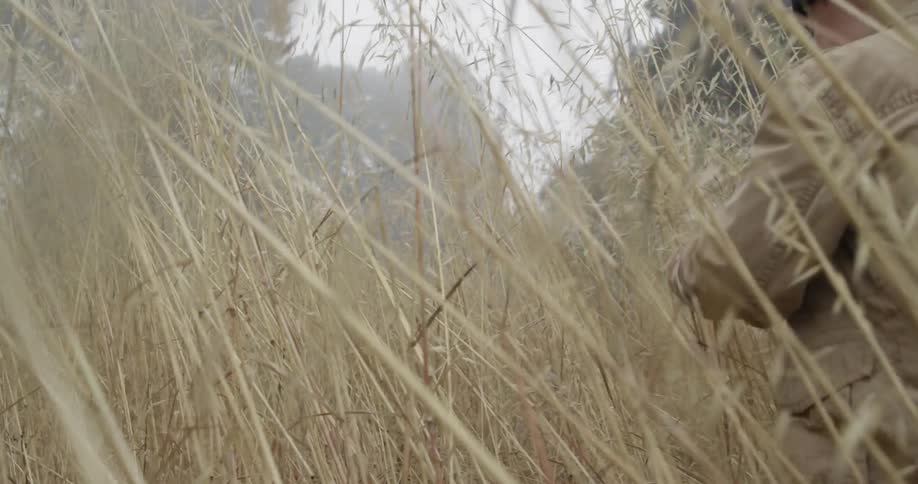 A person running in the forest