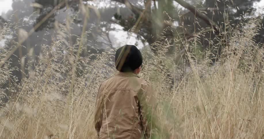 A boy walking in tall grass