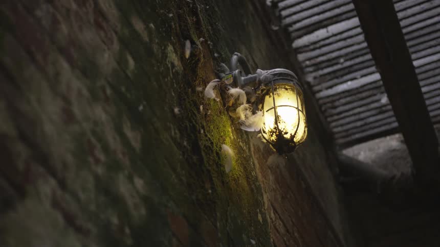 A lantern glows on the side of a building