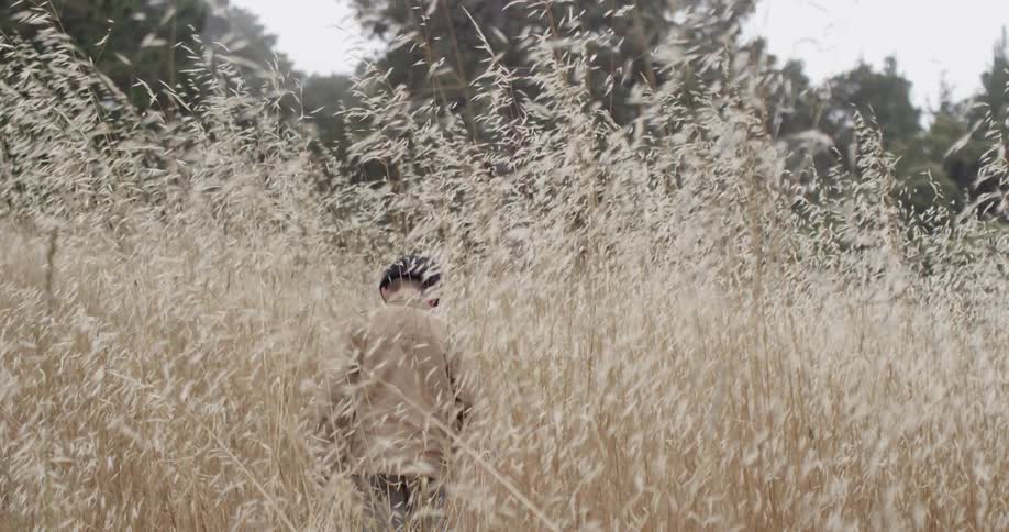 A boy walking through tall grass in a field