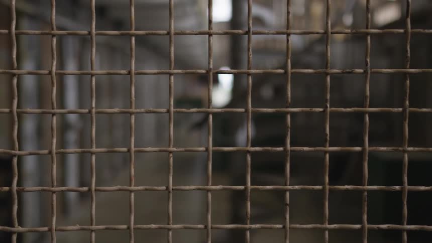 Camera pans over a metal screen