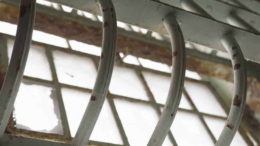 Curved metal bars cage in a window