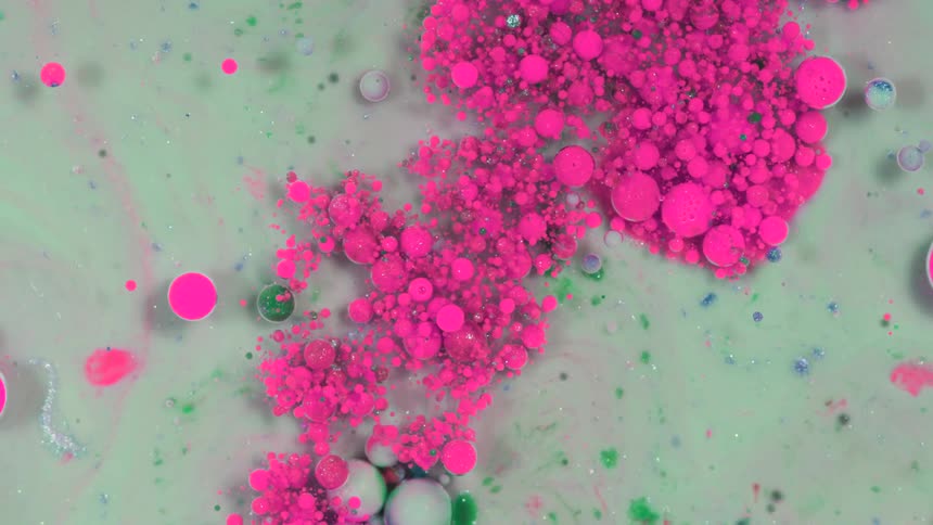 Colored dots float around together in the pool