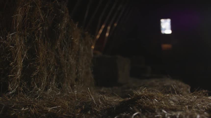 Sunlight shines through a window into a barn with bales and hay on the floor