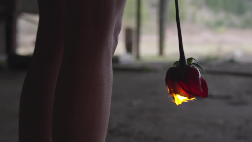 A person is holding a burning rose