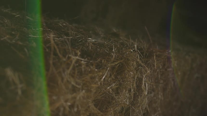 Hay bails lay in the dim light