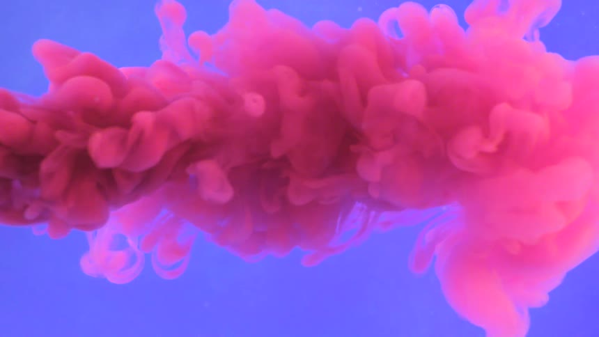 A cloud of pink is in the blue water