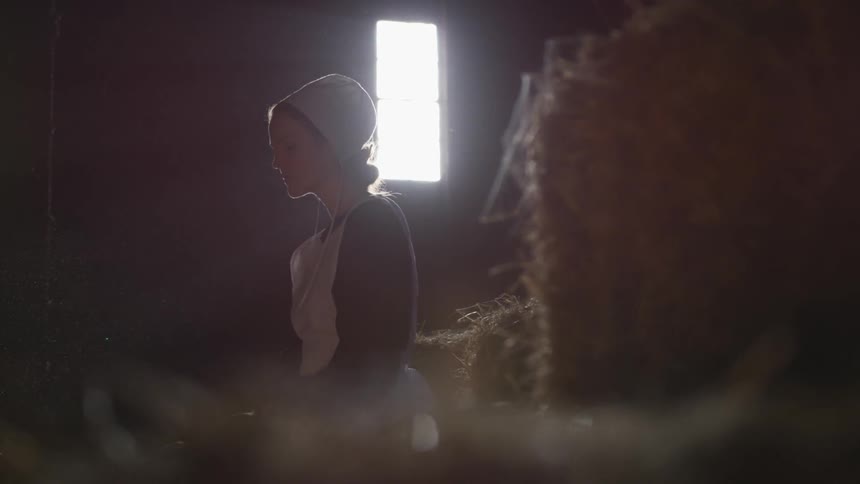 A maid sitting in a dim barn