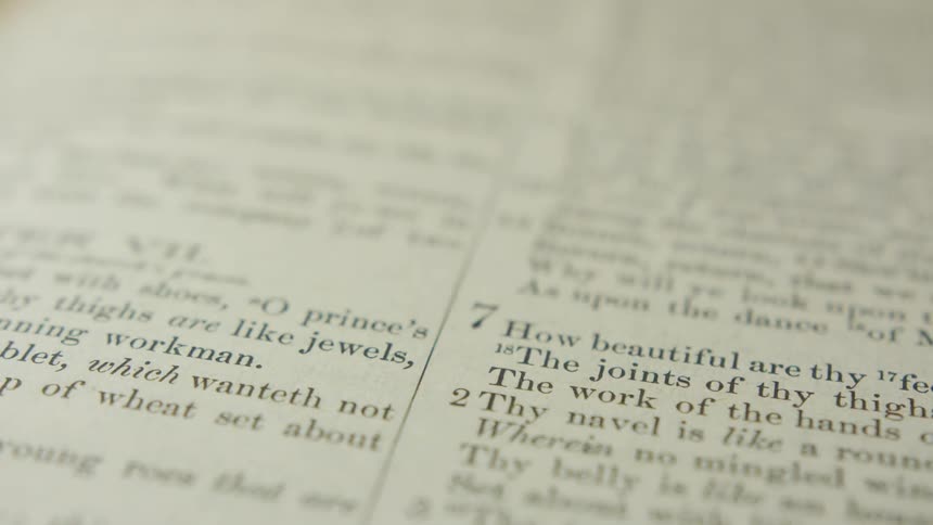 Light illuminates the book page