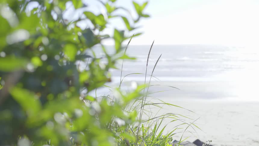 Beach Scenics