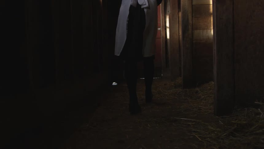 Amish Farmers