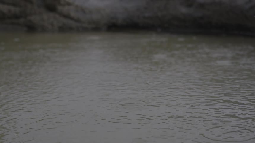 Raindrops falling onto surface of pond