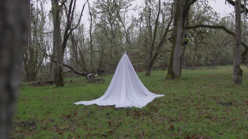 A person is wearing a ghost costume outside