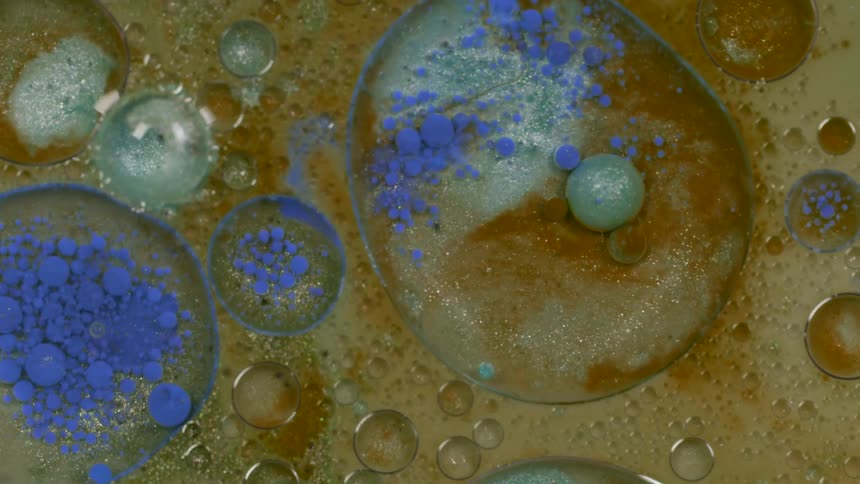 A milky liquid with paint and oil bubbles floating at the top