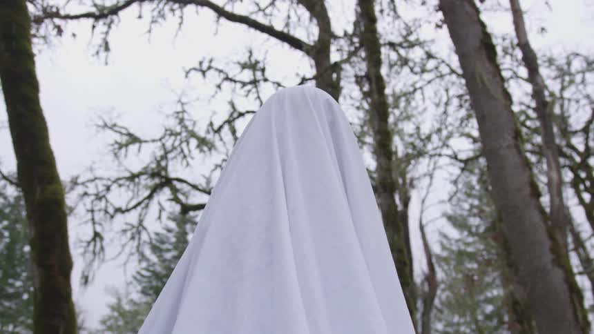 A person stands outside with a white sheet over their head