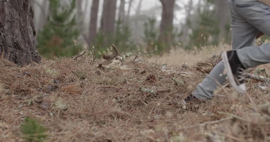 A boy jumping to the ground in the woods