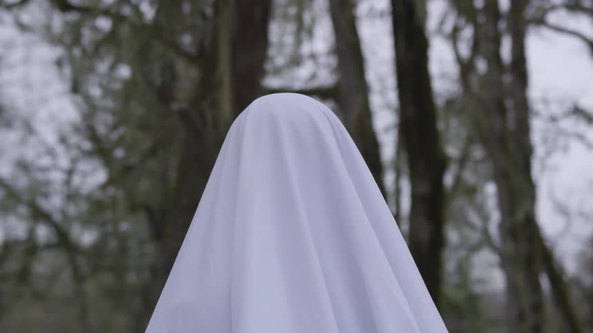 A person is wearing a ghost costume outside