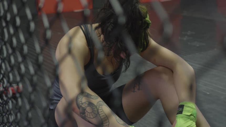 Boxer Training In Gym