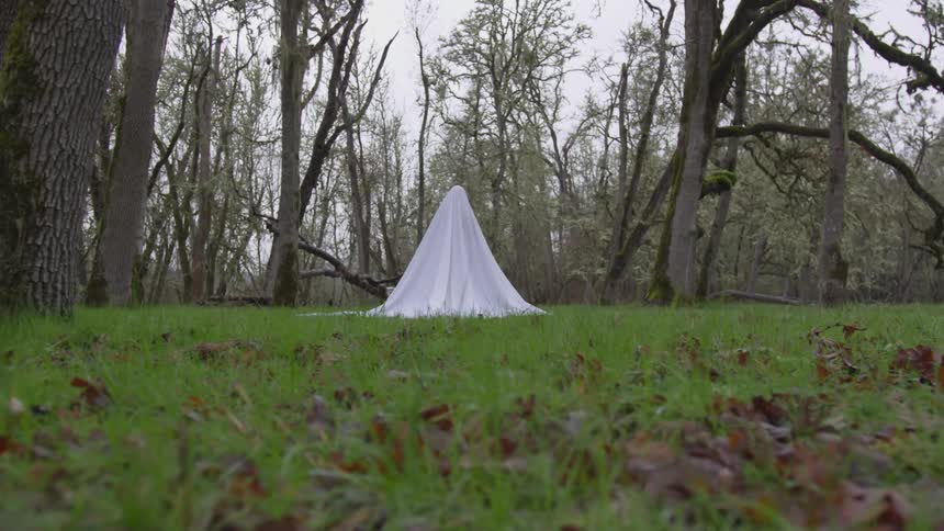Bedsheet Ghost In Forest