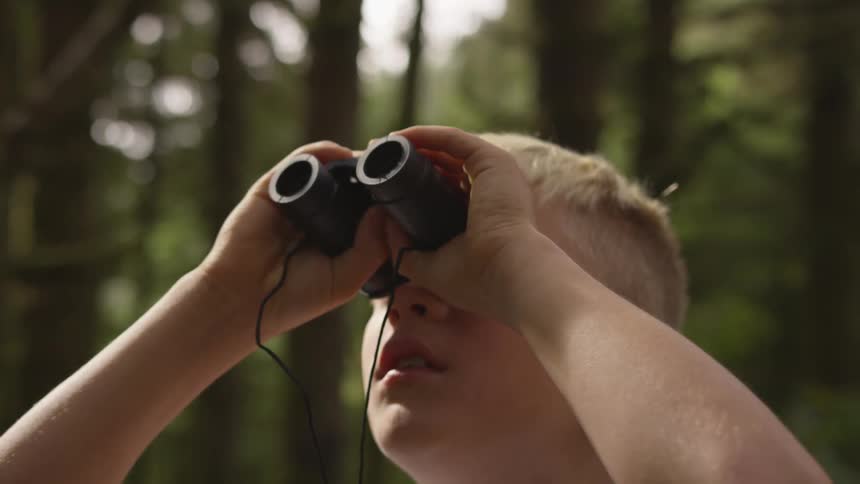 Boy In Forest