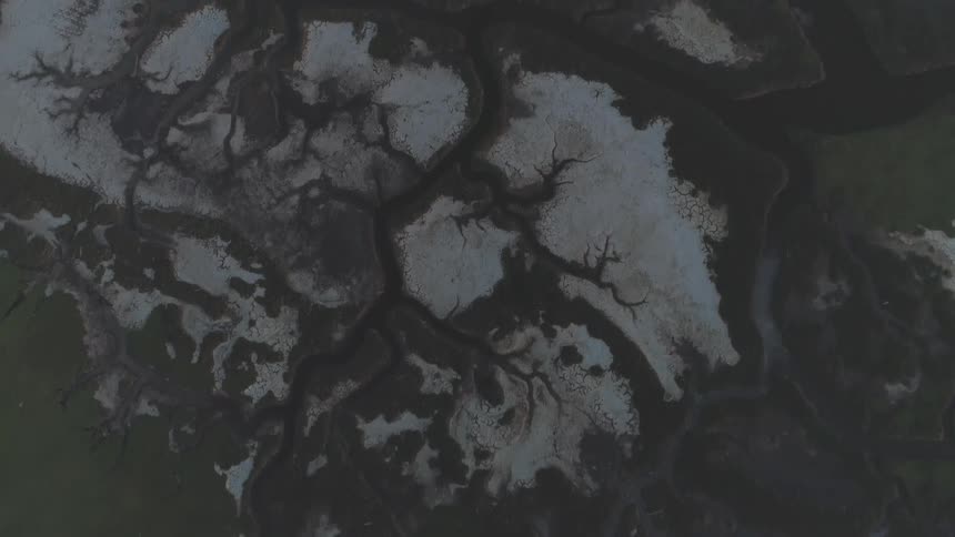 Different textures formed of grays and greens