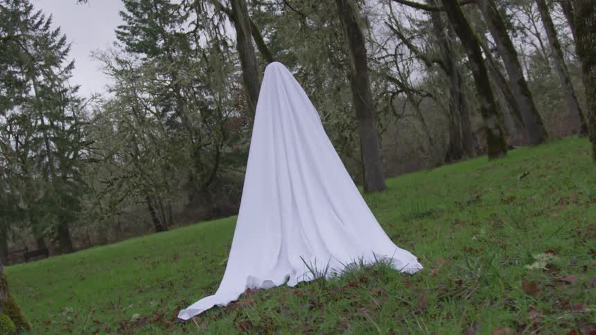 A person wearing a sheet to look like a ghost in a forest