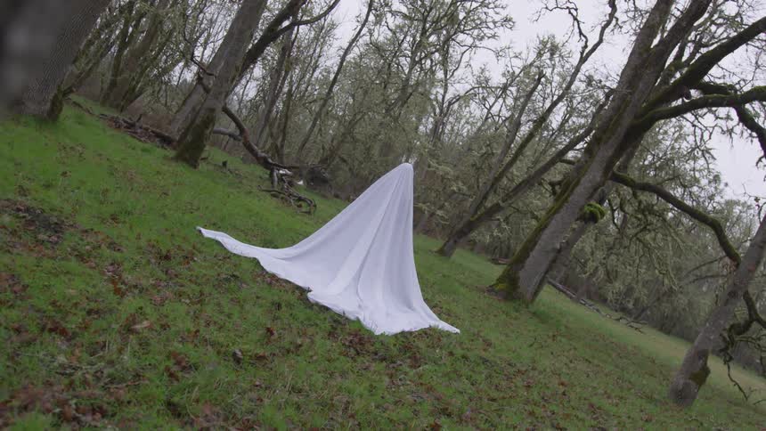 A person under a long white sheet stands in the forest