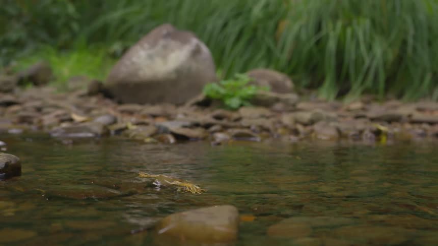 Boy Fishing