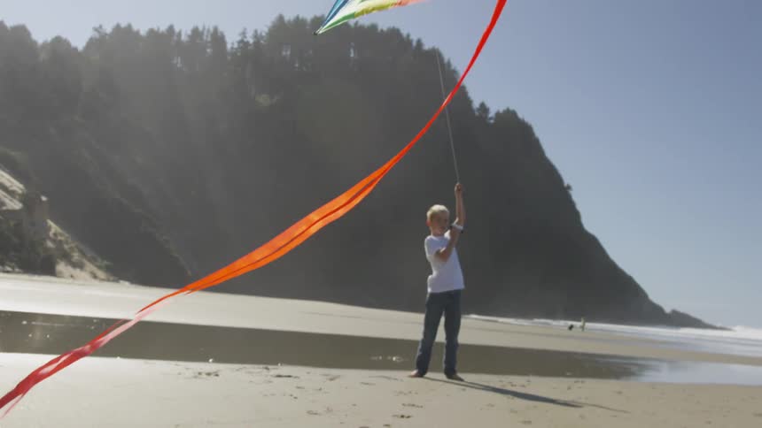 Boy Flying A Kite On The Beach