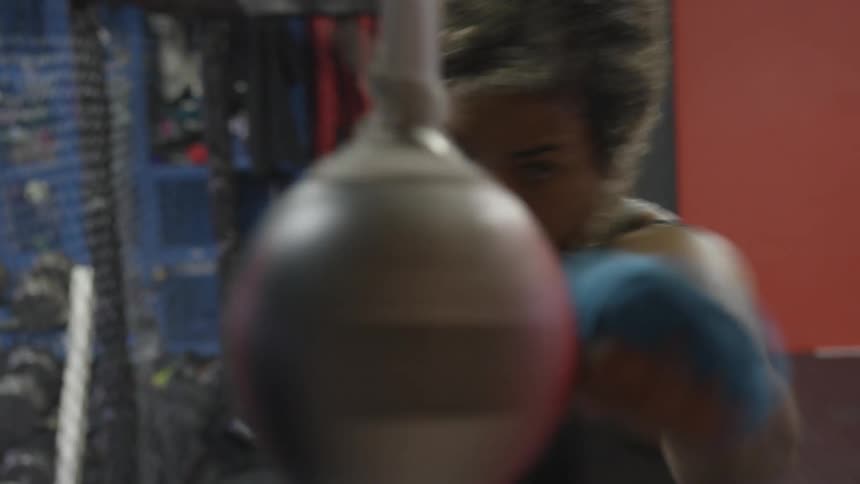 Boxer Training In Gym