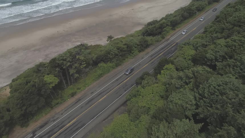 Cars drive down a road that's sandwiched between a forest and the ocean