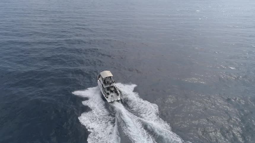 A boat riding out into the open ocean