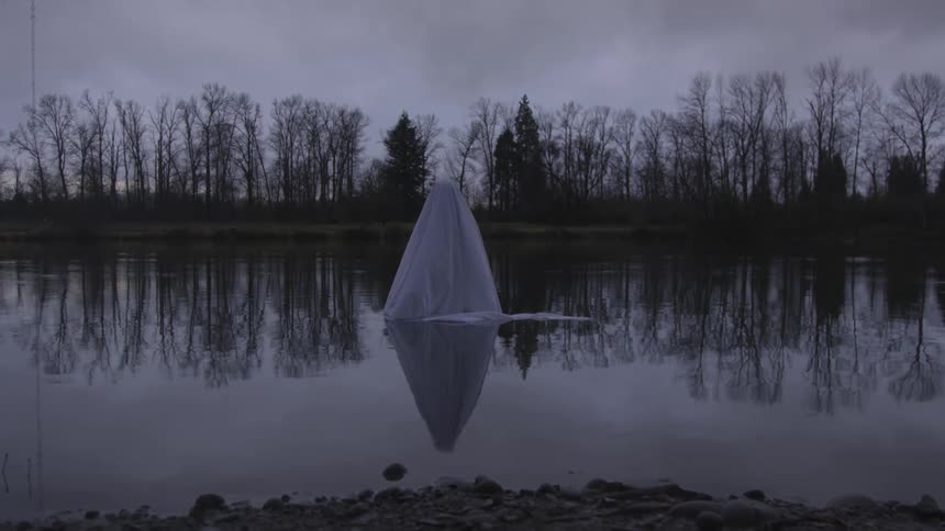 A woman wearing a white dress and veil stands in the middle of a lake at dusk
