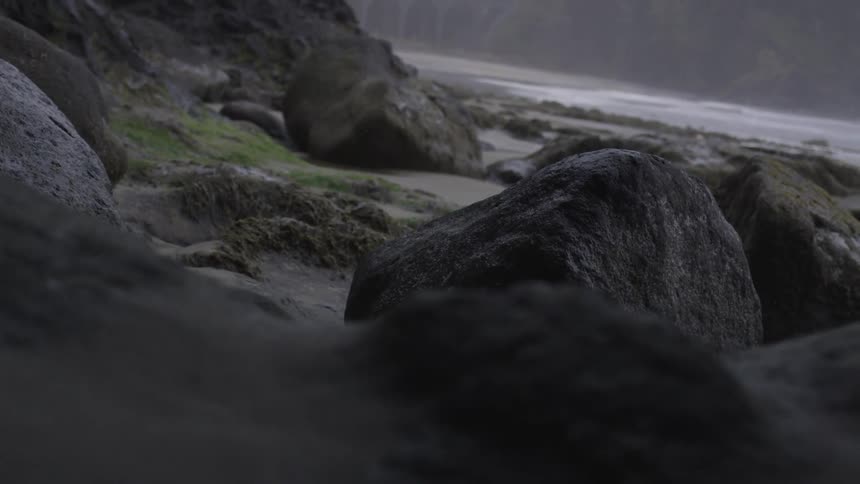 Mossy rocks on a dark beach
