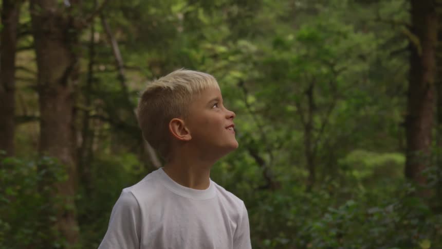 Boy In Forest