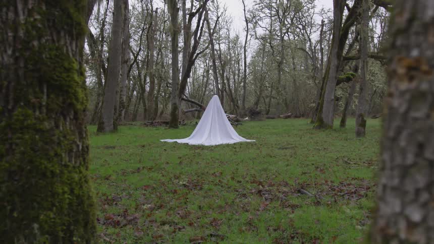 Girl wearing white sheets on top stands amongst trees in the middle of the forest