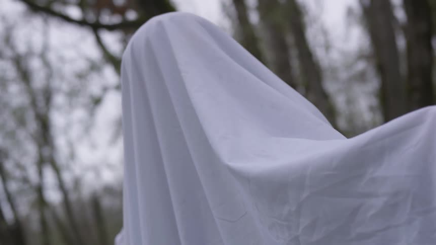Person wearing a white sheet as a ghost costume