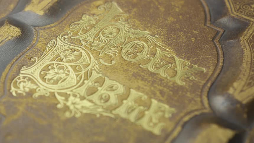 A book has holy bible engraved on the front
