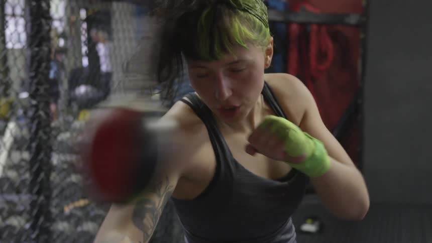 Boxer Training In Gym