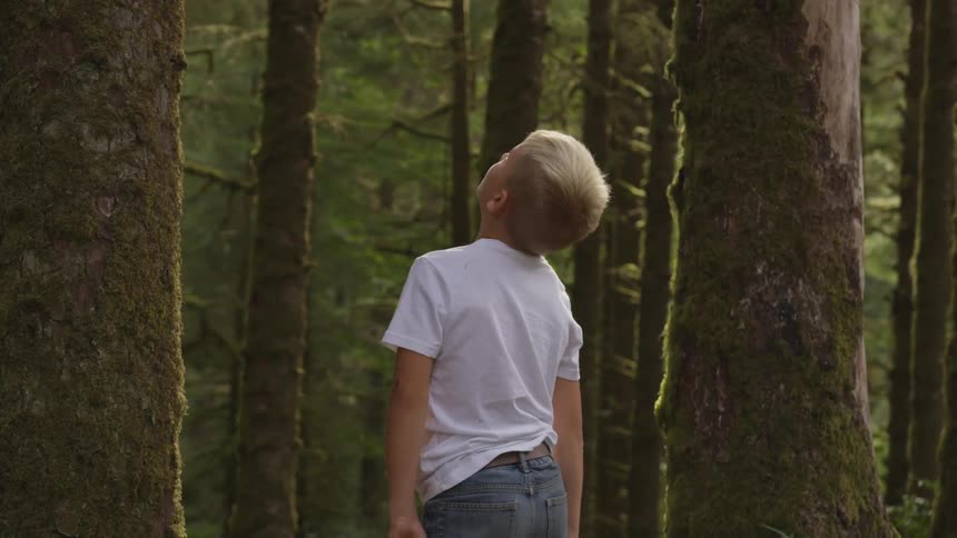 Boy In Forest