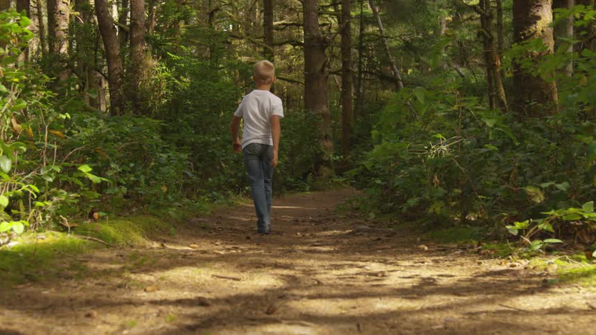 Boy In Forest