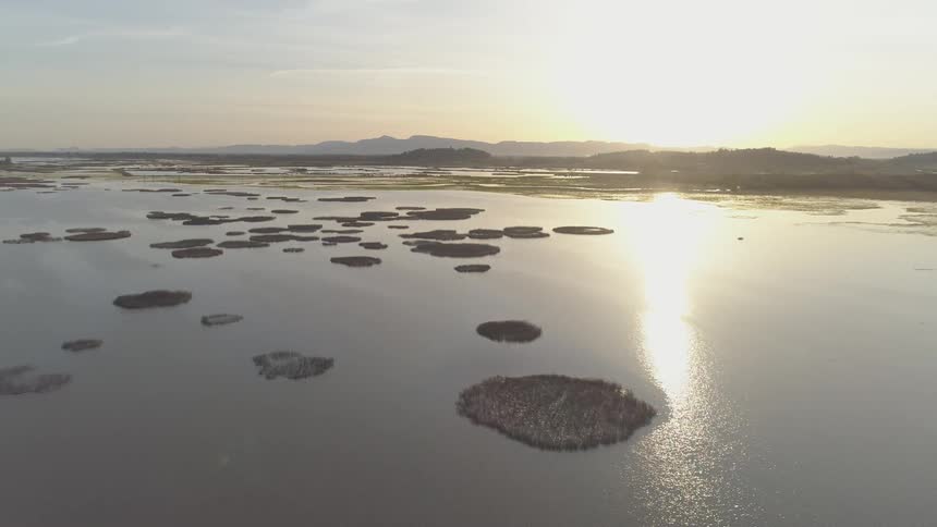 Lake Aerials