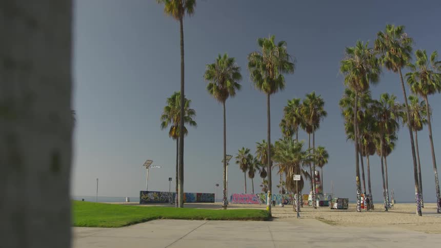 La Beach Day