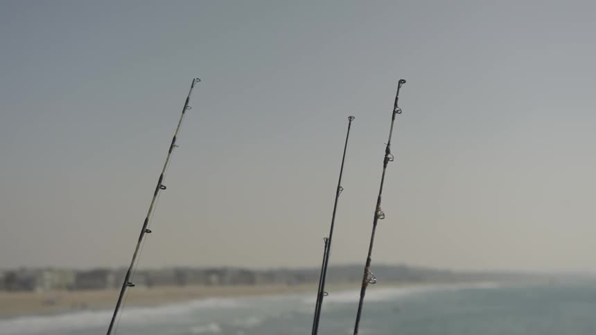 La Beach Day